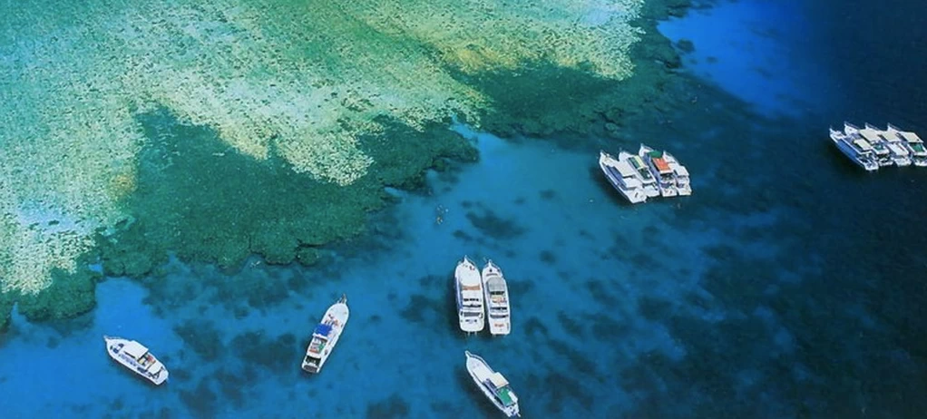 Isla Tiran: Donde los Arrecifes Cobran Vida